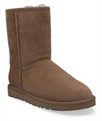 UGG Classic Short, chestnut